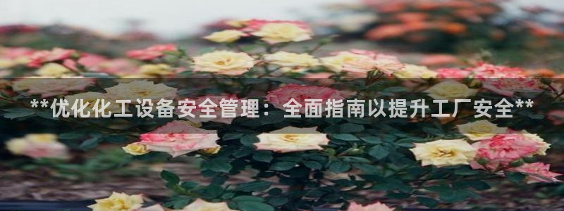 新宝gg创造奇迹平台怎么样