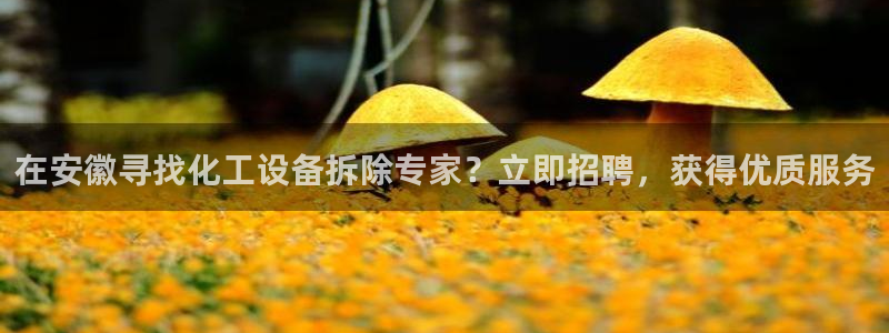 新宝gg平台注册登录指南