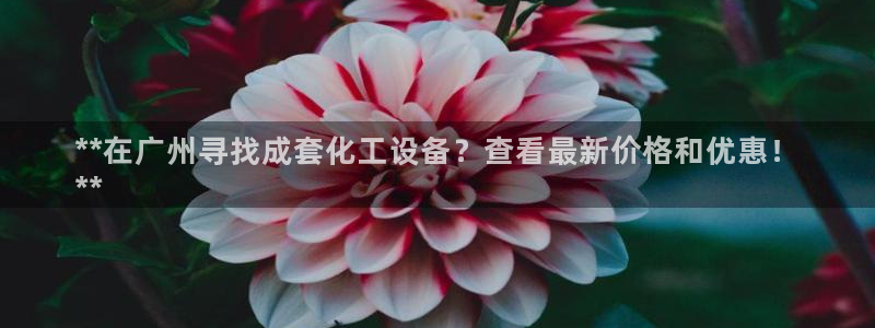 新宝gg创造奇迹官网