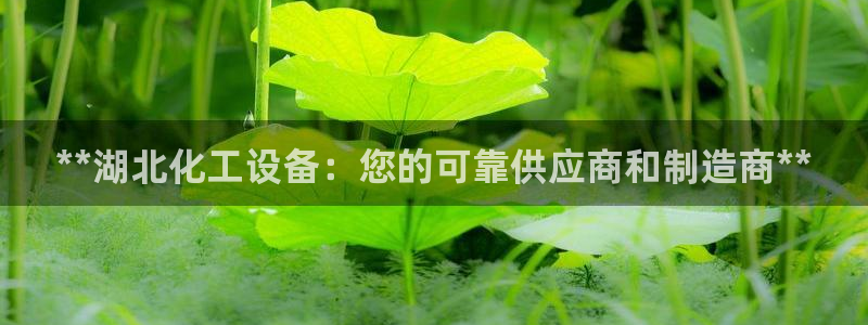 新宝gg创造奇迹登录入口