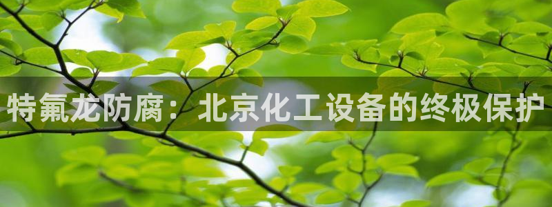 新宝gg登录入口
