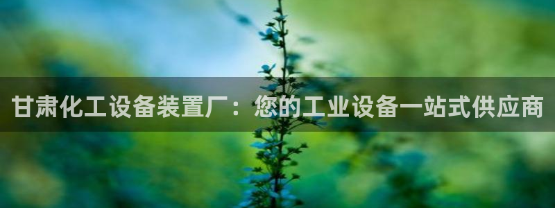 新宝gg一创造奇迹登录龙,虎,和