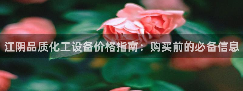 新宝gg创造奇迹登录平台