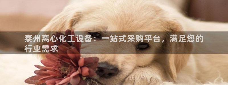 新宝gg一创造奇迹代理
