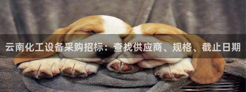 新宝gg怎么登录不了了