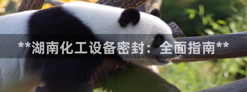 新宝gg官网登录找代理