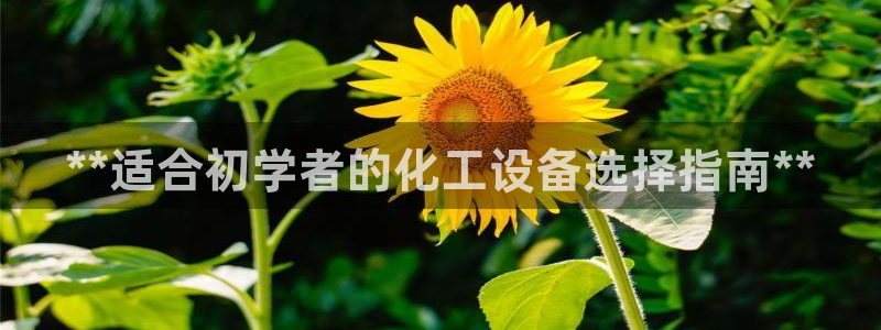 新宝gg一创造奇迹登录龙,虎,和