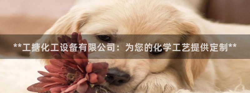 新宝gg — 创造奇迹!