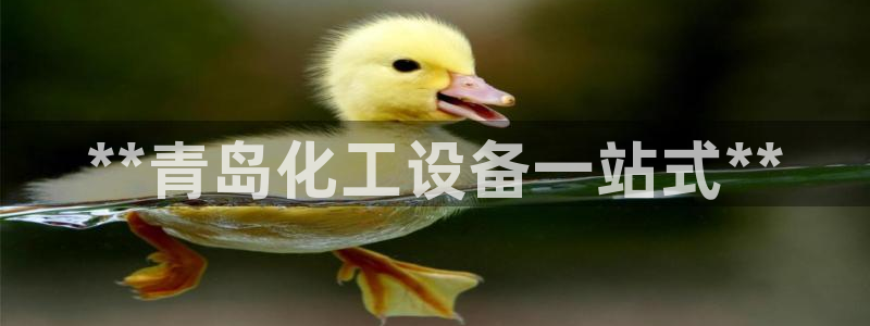 新宝GG平台注册开户：**青岛化工设备一站式**