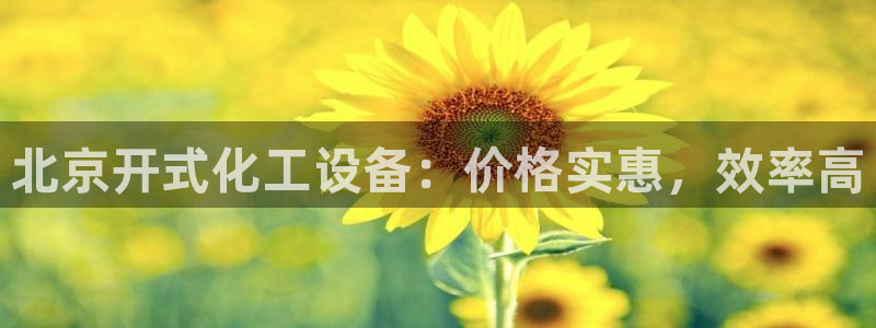新宝gg一注册：北京开式化工设备：价格实惠，效率高