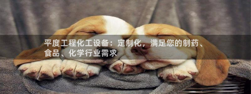 新宝gg官网登录找代理：平度工程化工设备：定制化，满足您的制