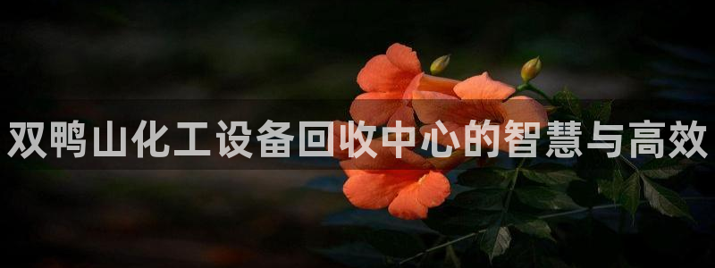 新宝gg创造奇迹登录入口网址