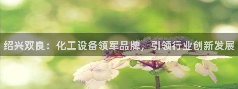 新宝gg平台—创造奇迹赌博