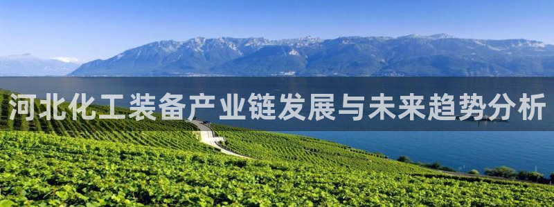 新宝gg一创造奇迹登录龙,虎,和：河北化工装备产业