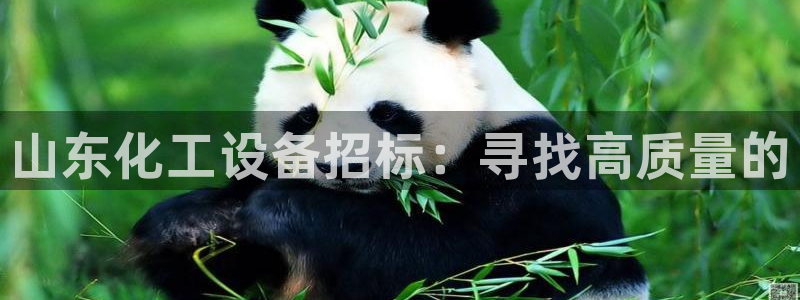 新宝gg创造奇迹登陆 127.0.0.1