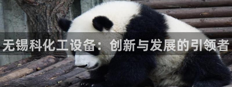 新宝gg创造奇代理加盟