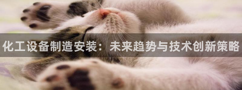 新宝gg提现不到账了?：化工设备制造安装：未来趋势