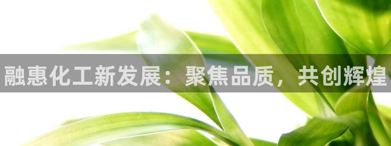 新宝gg奇迹登录怎么登录不了